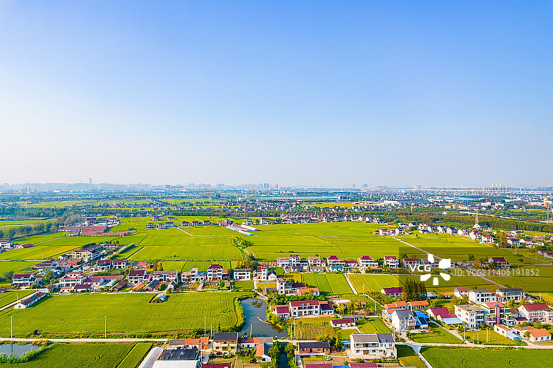 航拍江苏南通高标准农田秋天乡村稻田自然风景图片素材