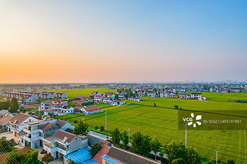 航拍江苏南通高标准农田秋天乡村稻田自然风景图片素材