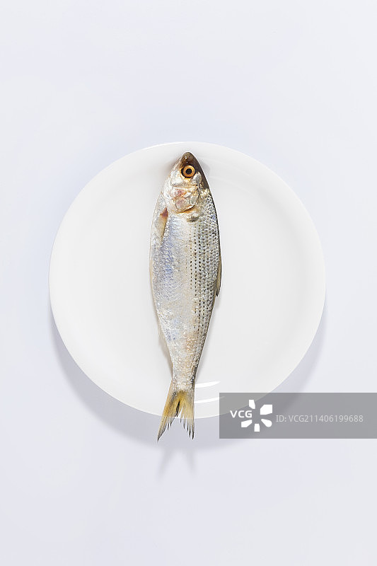 碗里的鲱鱼图片素材