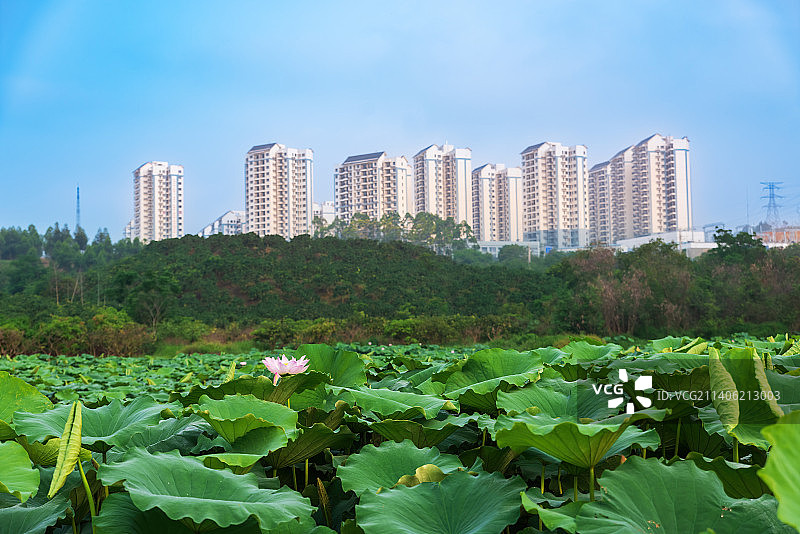 远眺易地搬迁扶贫安置小区深圳小镇图片素材