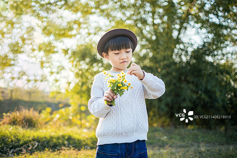 秋天的暖阳里一个小男孩在户外摘小野花图片素材