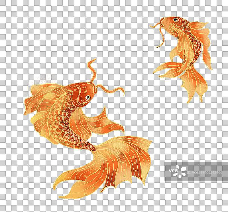 国潮新年插画元素锦鲤图片素材