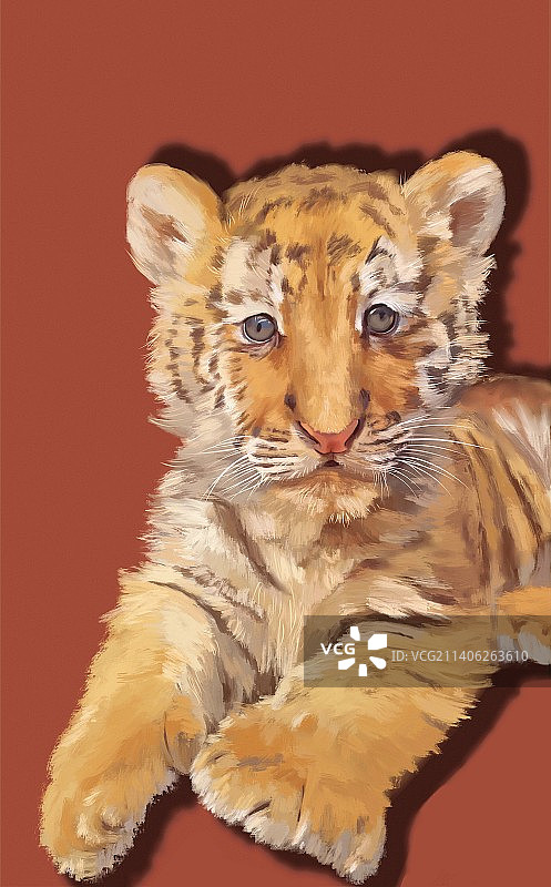 小老虎图片素材