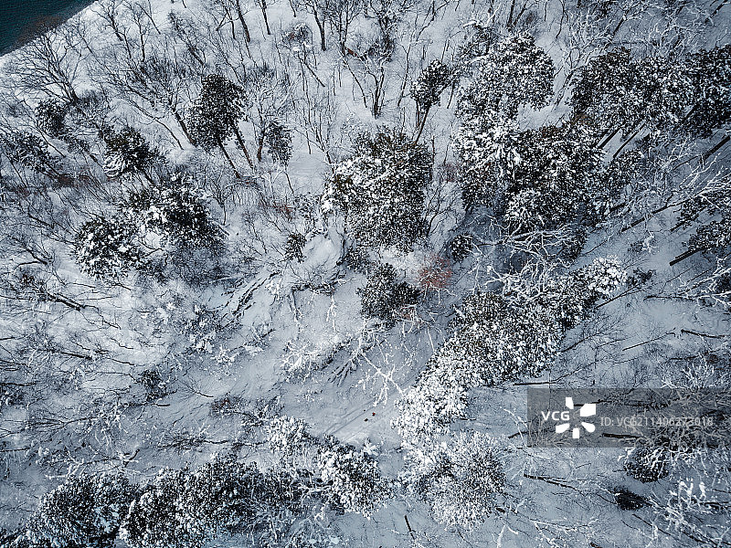 日本青森县十和田湖航拍图片素材