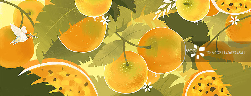 百香果背景图片素材