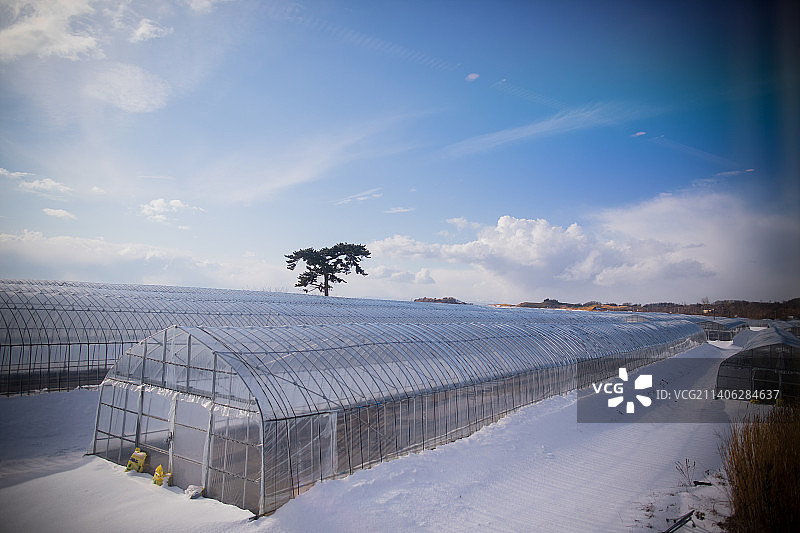 日本北海道冬天的风光图片素材