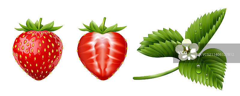 逼真草莓素材图片素材