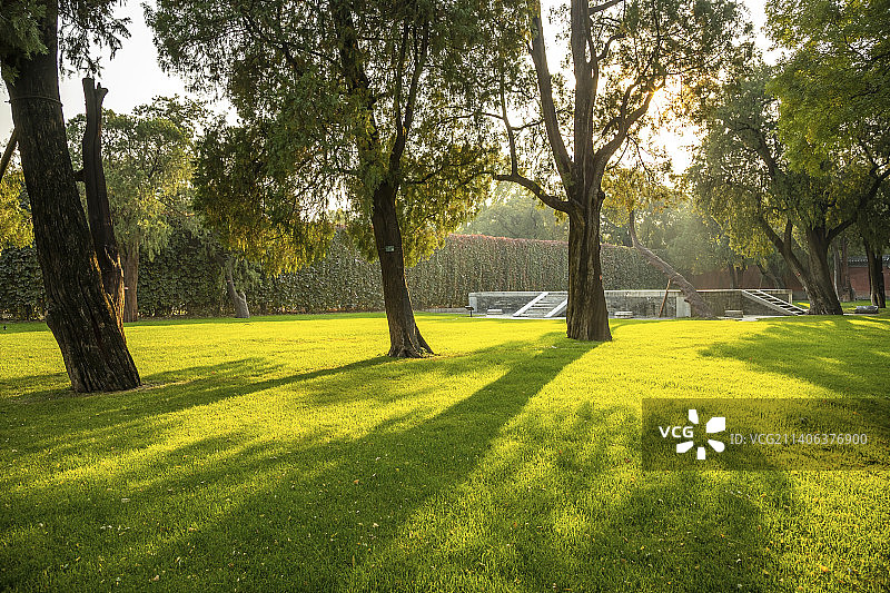 北京先农坛古树与草坪图片素材