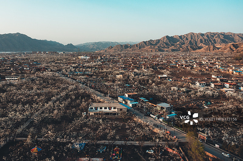 兰州什川镇梨花图片素材