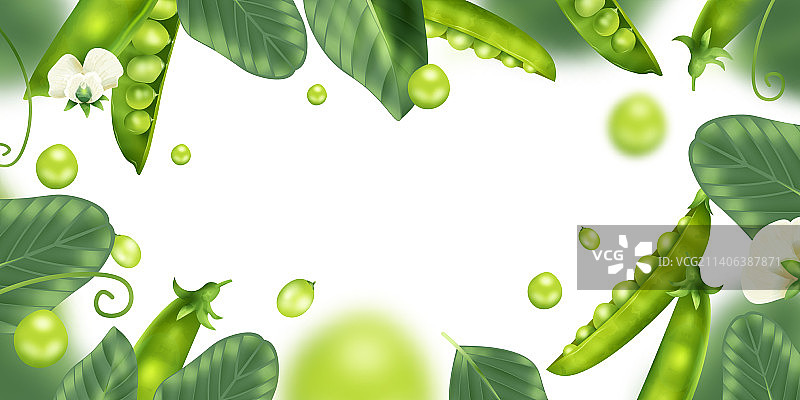 逼真的豌豆边框图片素材