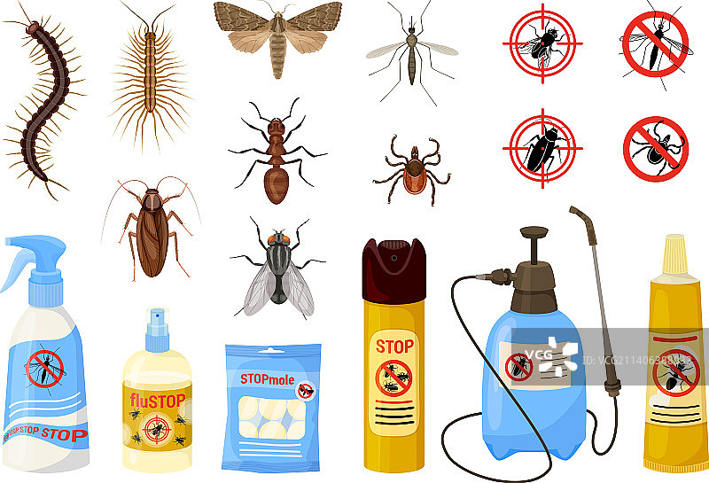 有害昆虫卡通彩色大图标集图片素材