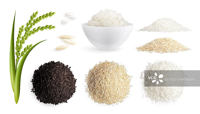 逼真的稻田场景图片素材