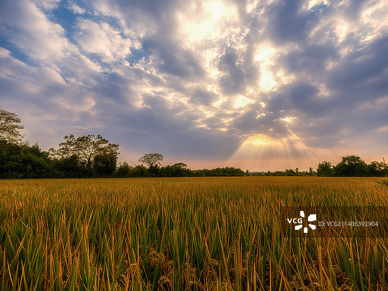 杭州良渚遗址公园三图片素材