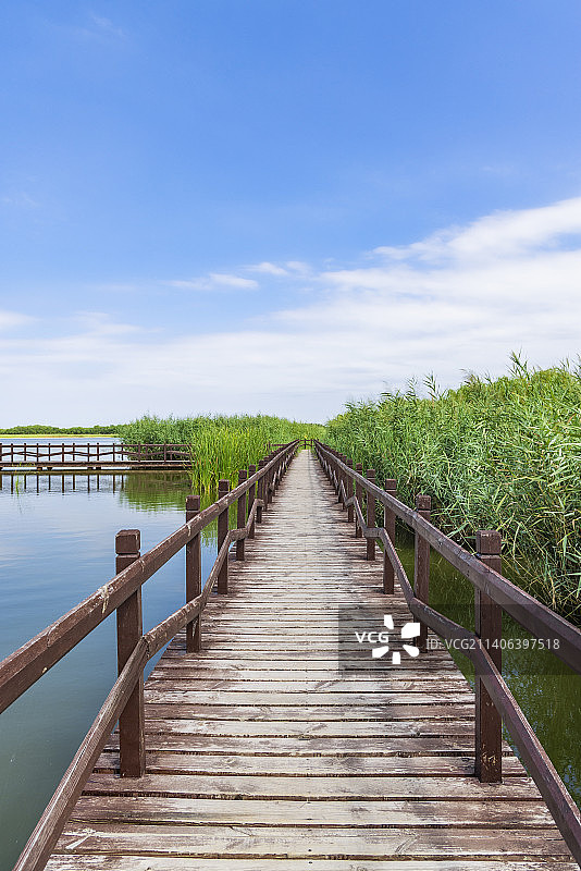 天津西青郊野公园自然风光图片素材