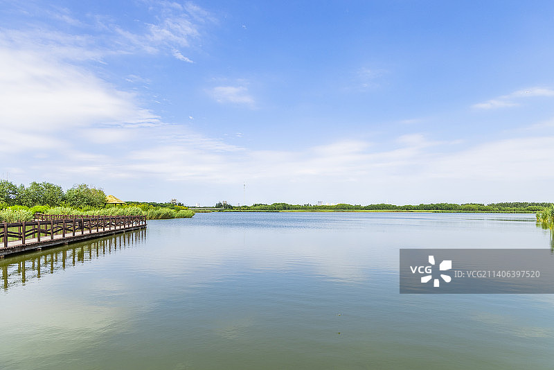 天津西青郊野公园自然风光图片素材