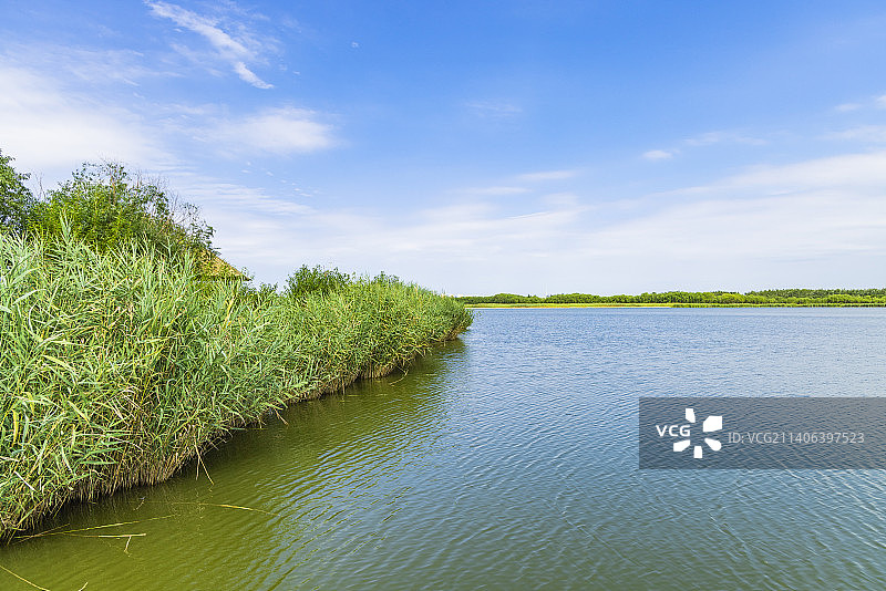 天津西青郊野公园自然风光图片素材