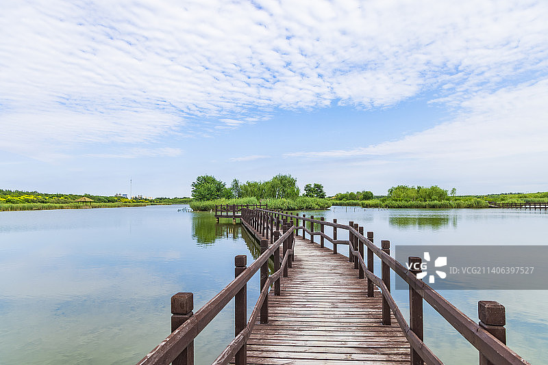 天津西青郊野公园自然风光图片素材
