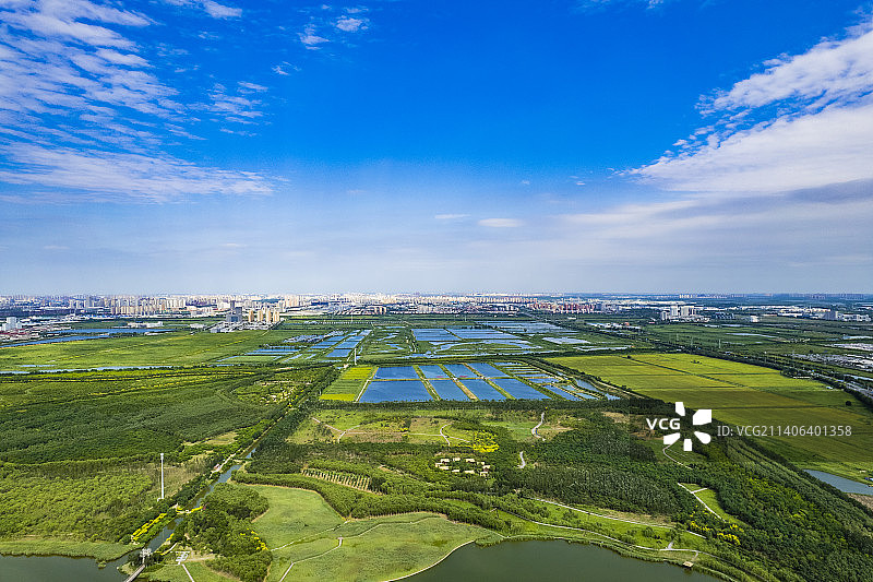 天津西青郊野公园湿地航拍图片素材