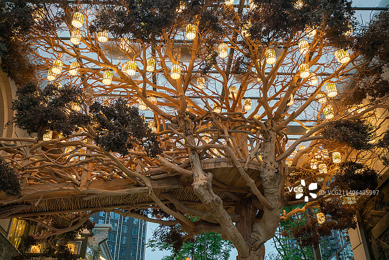 树上挂满纸灯笼图片素材