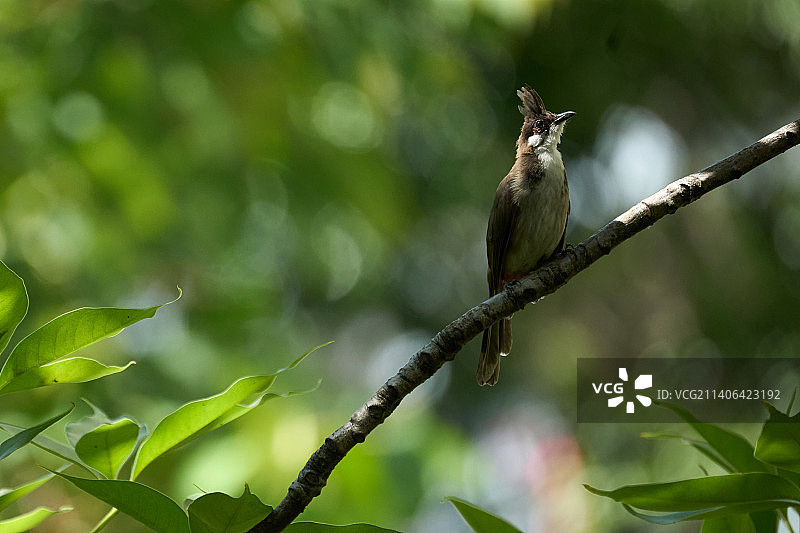 DSC06613图片素材