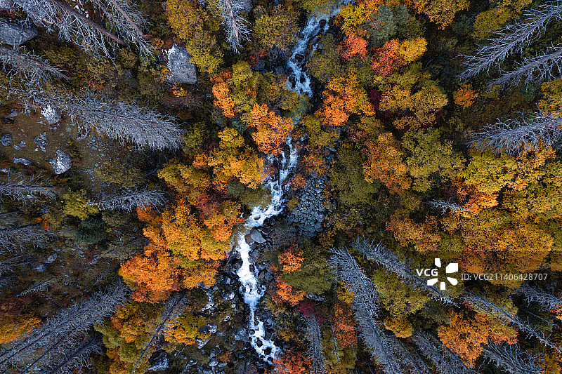 德格县多瀑沟秋色图片素材