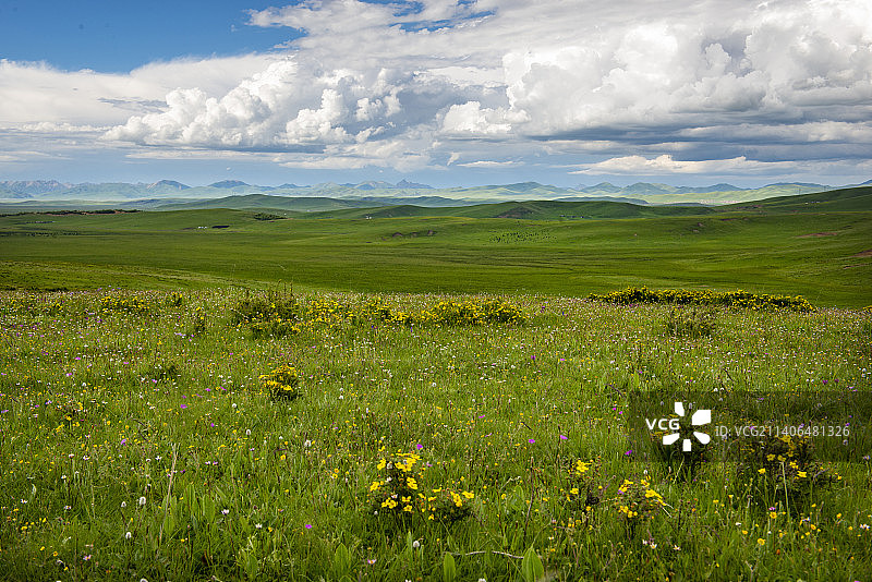 春到若尔盖图片素材