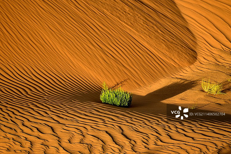 沙漠风沙里图片素材