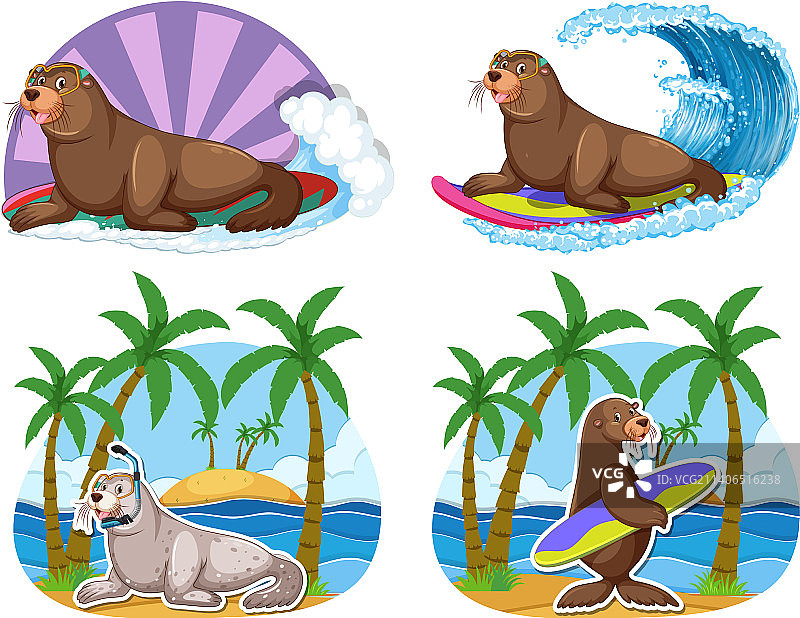 各种卡通海狮角色合集图片素材