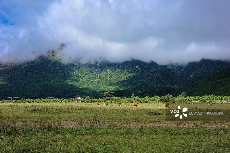 龙女湖：草原牧场风光图片素材