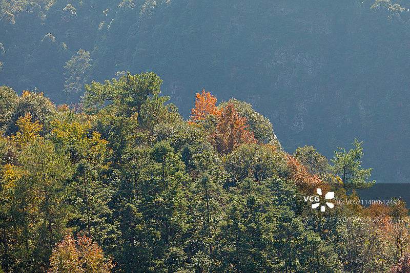 中国广西桂林小平乐北岱底红叶图片素材