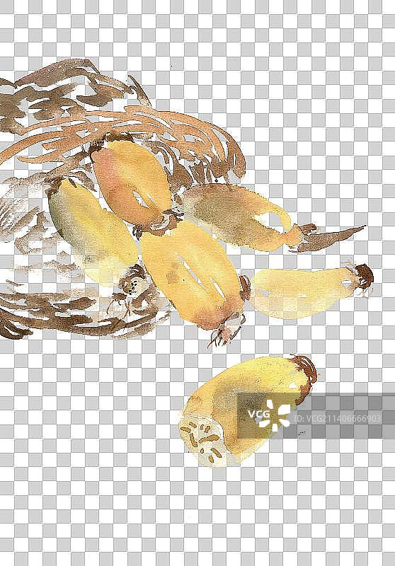 筐中的藕图片素材