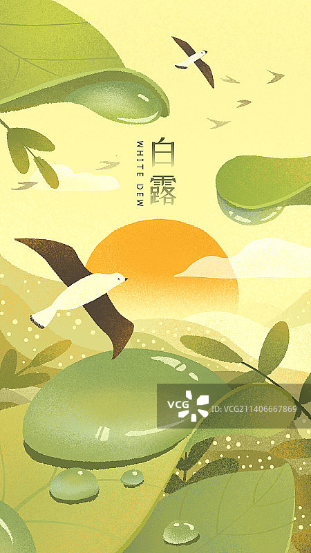 二十四节气之白露时节图片素材