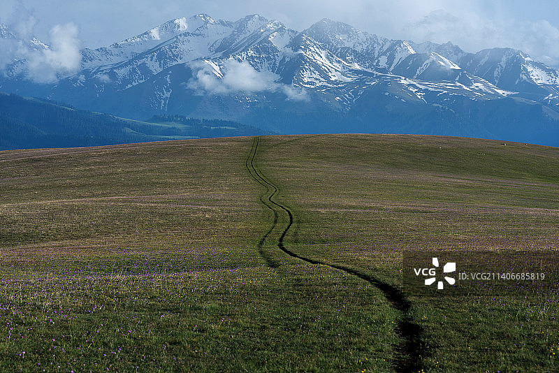雪山下草原上蜿蜒的路图片素材