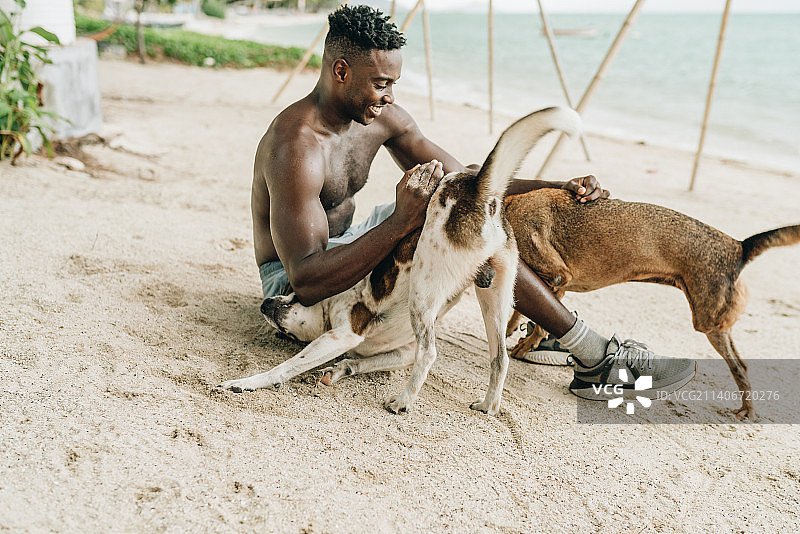 在泰国帕岸岛海滩上与狗玩耍的男人图片素材