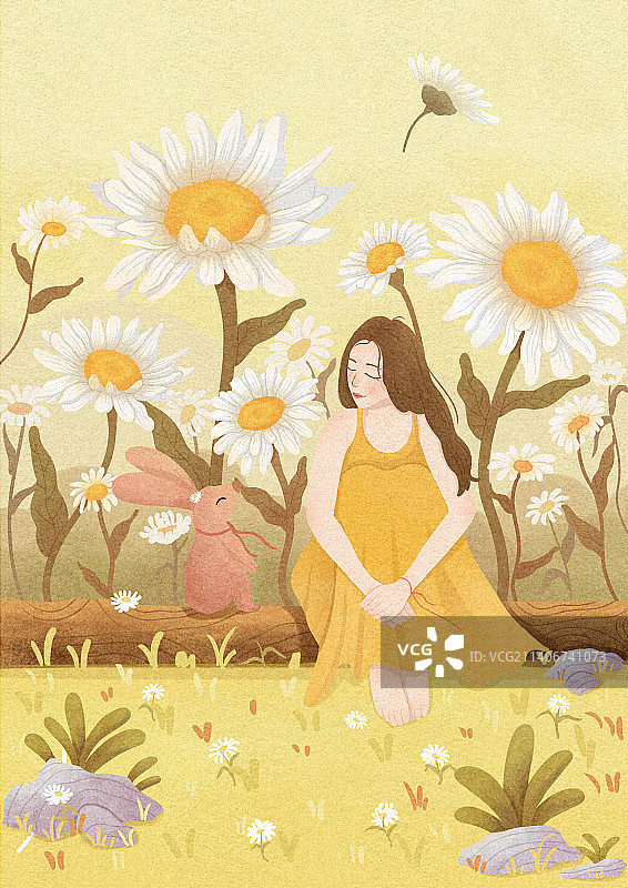 雏菊落日图片素材