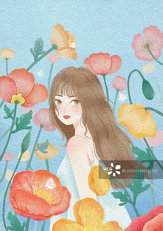 虞美人图片素材