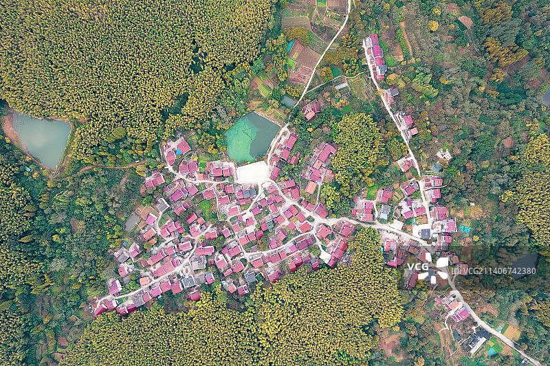 戴埠镇金山里村图片素材