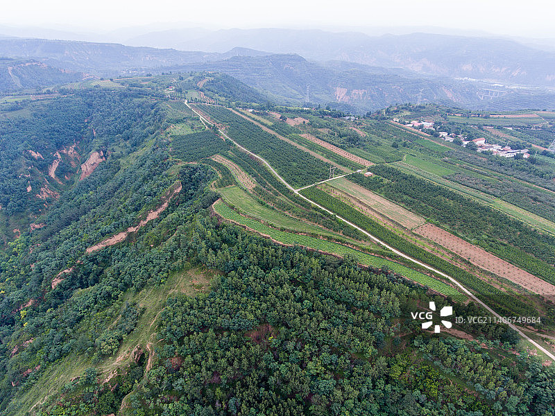 航拍河南灵宝赵家沟村樱桃种植林田园风光图片素材