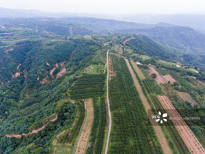 航拍河南灵宝赵家沟村樱桃种植林田园风光图片素材