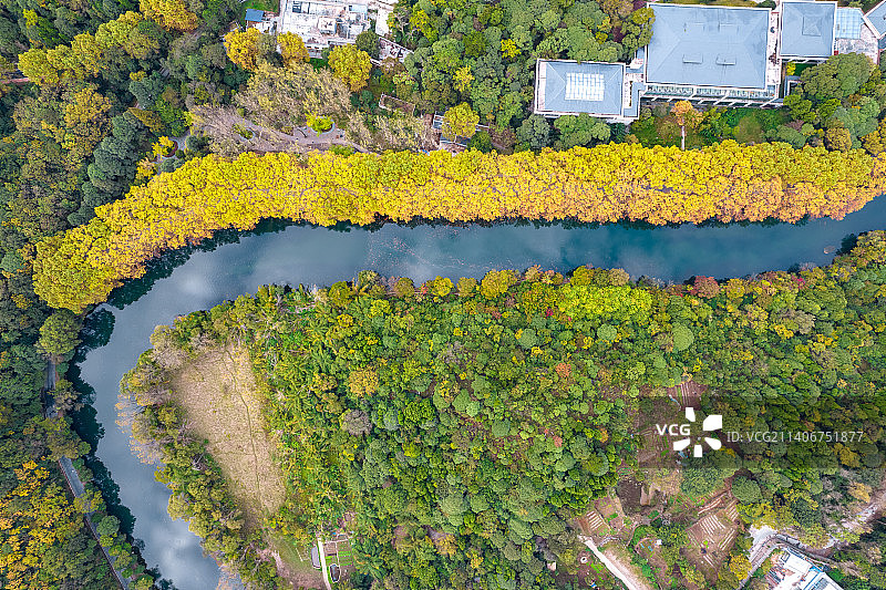 贵阳花溪黄金大道图片素材
