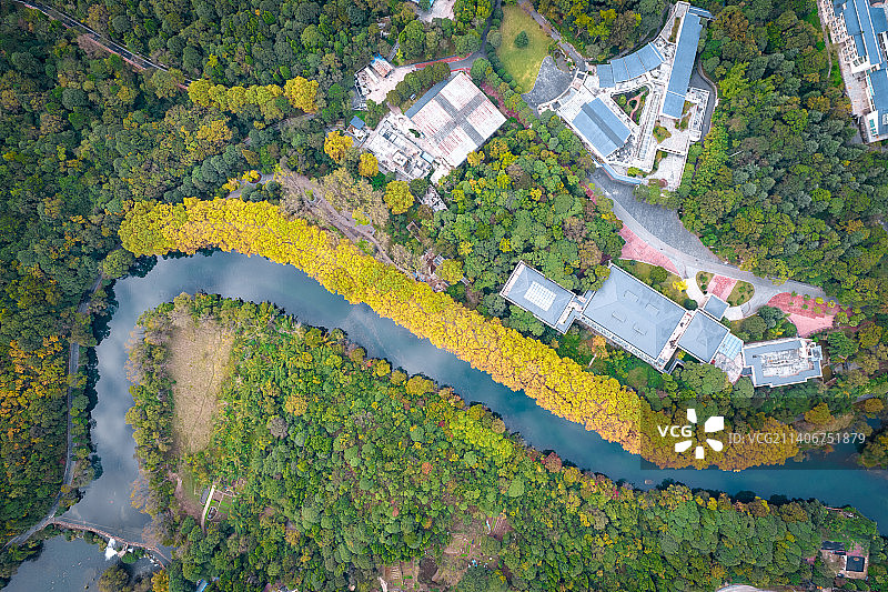 贵阳花溪黄金大道图片素材