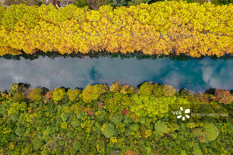 贵阳花溪黄金大道图片素材