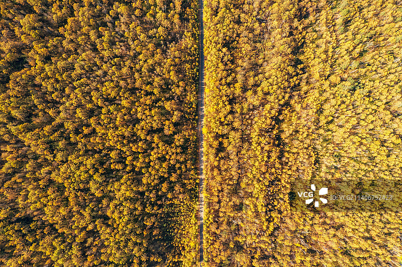 内蒙古呼伦贝尔市额尔古纳市莫尔道嘎国家森林公园大兴安岭林区与公路秋季户外航拍正上方视角图片素材