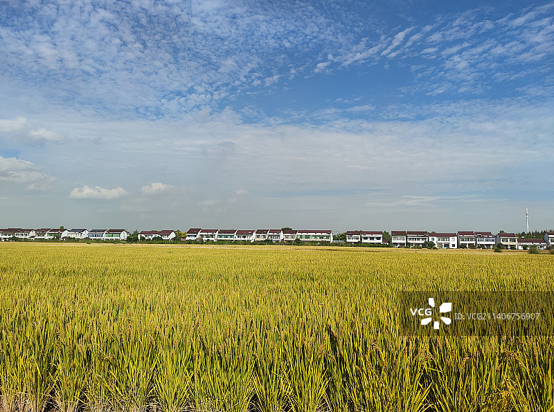 新农村图片素材