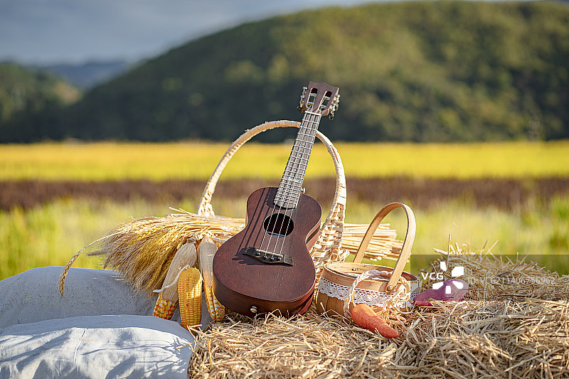 稻田旁稻草垛上摆放的农产品与乐器尤克哩哩图片素材