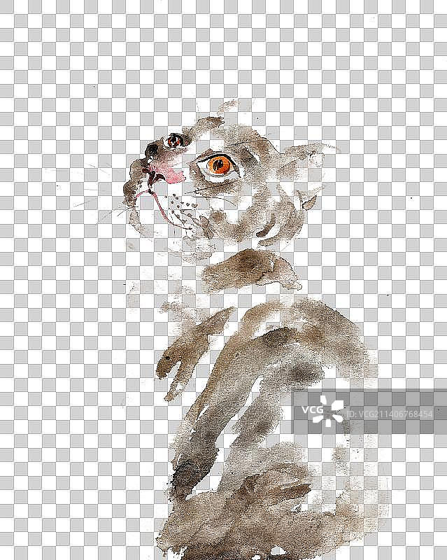 仰脸的小猫图片素材