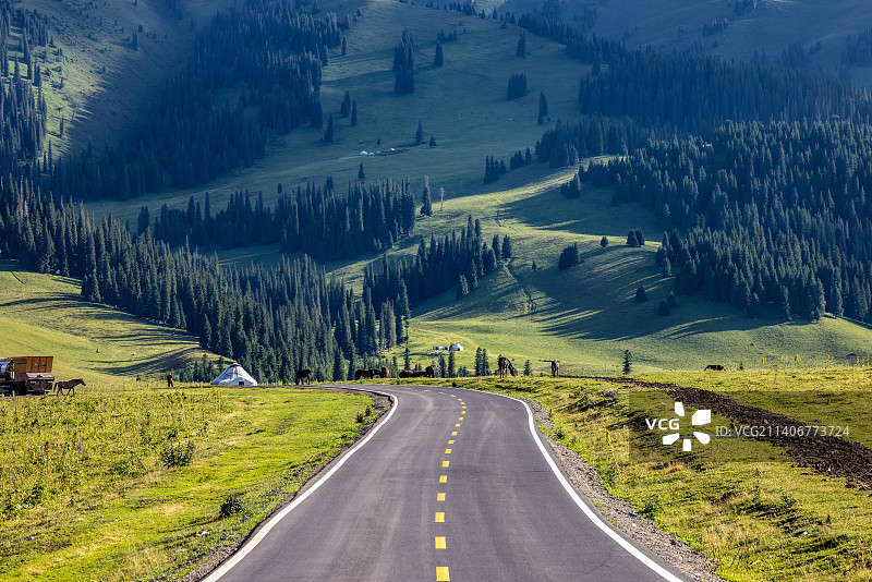 新疆那拉提的夏天图片素材