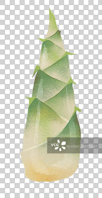 竹笋特写图片素材