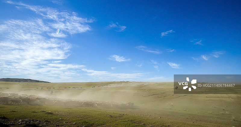 牧民大转场图片素材