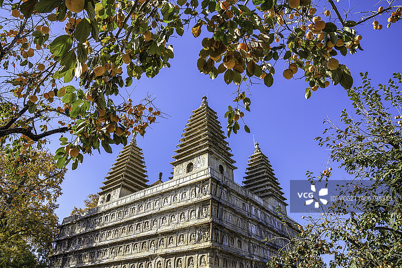 北京五塔寺秋色图片素材